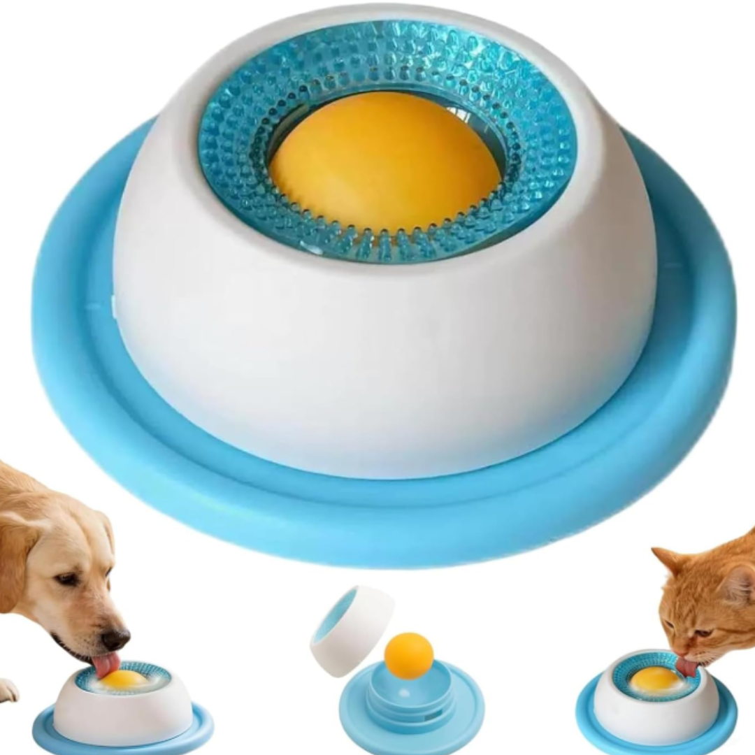 Dog bowl