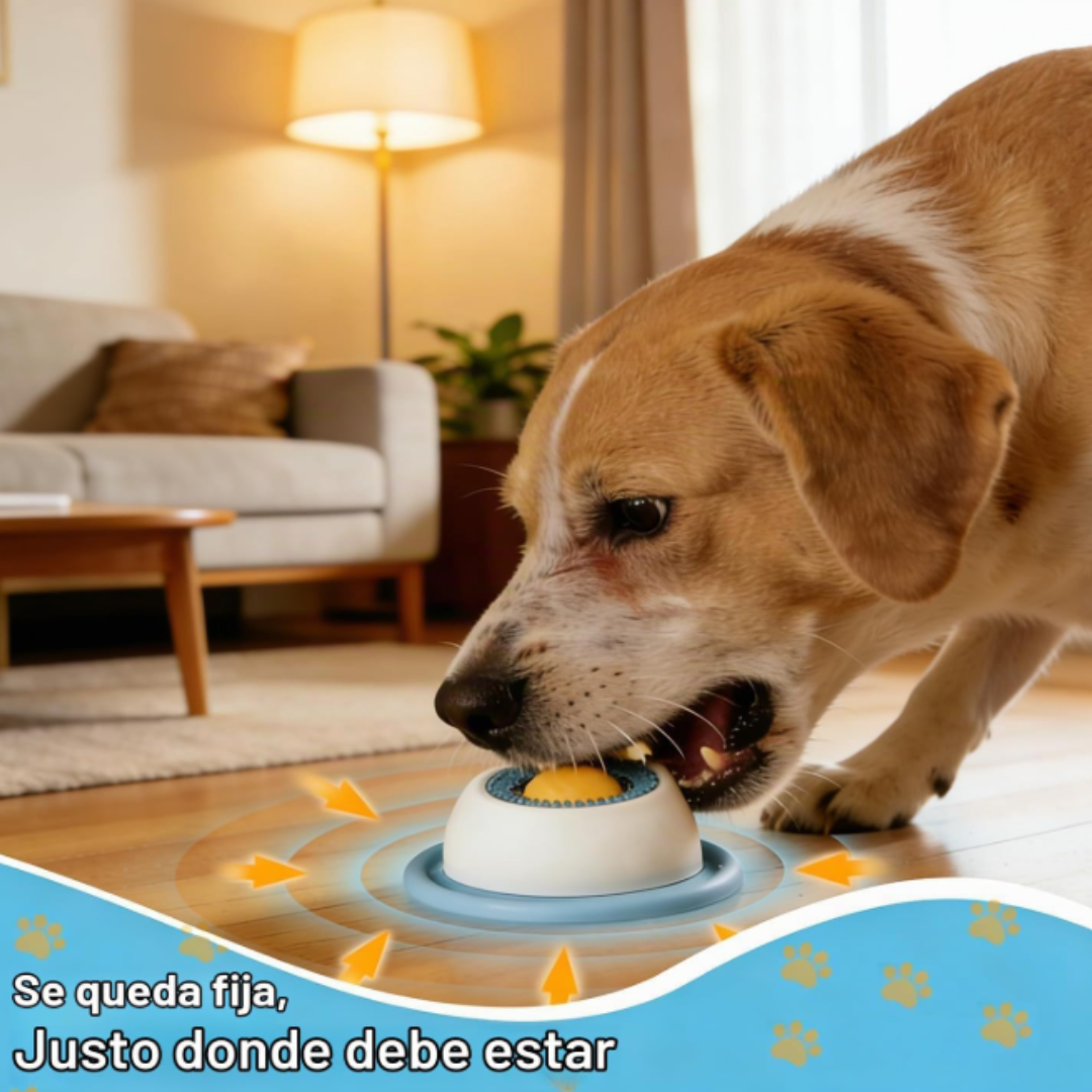 Dog bowl